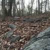 Great example of East Coast rocks on the Red Trail.