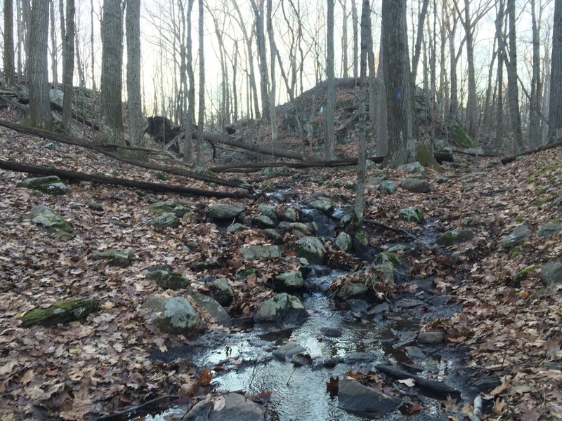 Beautiful creek bisecting Blue Connector trail.