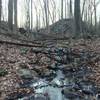 Beautiful creek bisecting Blue Connector trail.