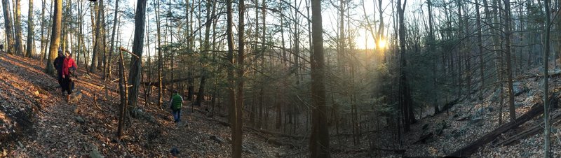 Winter Sun beaming down on these tight Red Trail switchbacks.