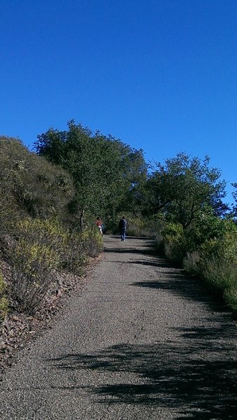 Complete a lot of vertical on Bald Mountain Trail's paved steeps