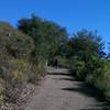 Complete a lot of vertical on Bald Mountain Trail's paved steeps