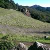 Open meadows of the Vista Trail provide the vistas