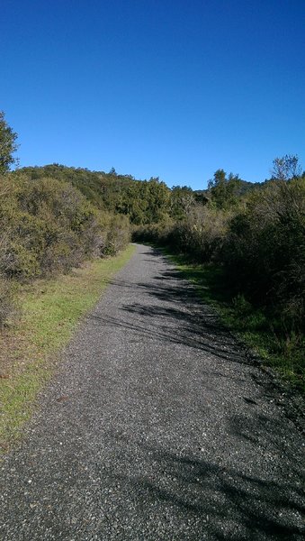 Crushed gravel surface on the wide Meadow Trail makes for easy going