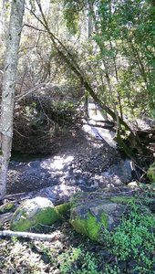 Sonoma Creek runs alongside much of the Meadow Trail