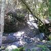 Sonoma Creek runs alongside much of the Meadow Trail