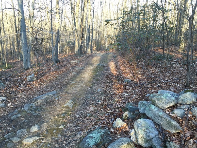 Historic Connecticut doubletrack.