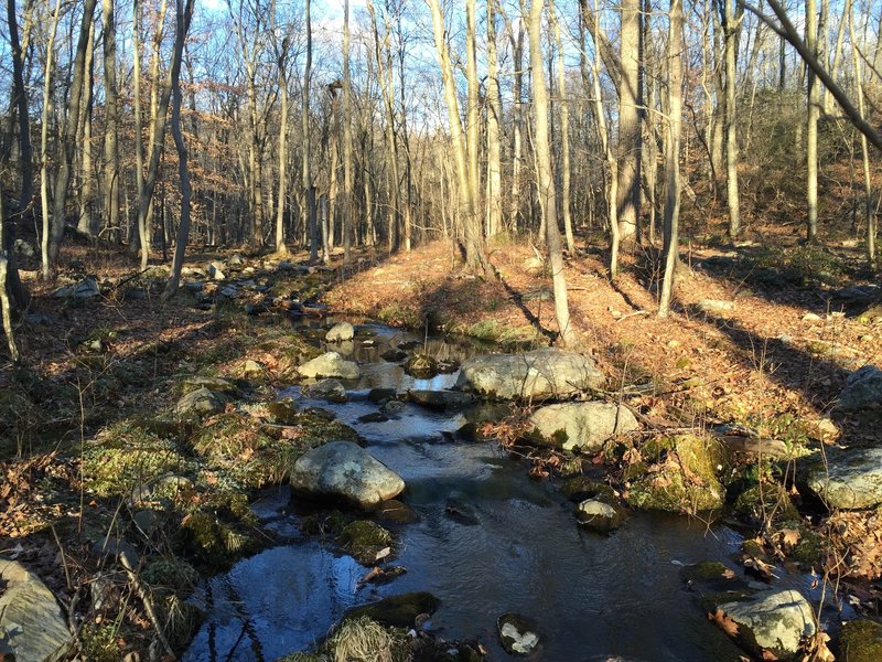 Babbling brook with calm water.