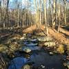 Babbling brook with calm water.