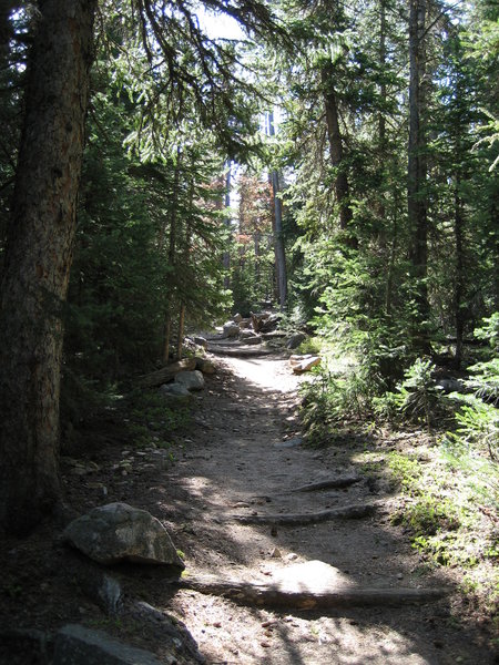 Finch Lake Trail with permission from ottomandude