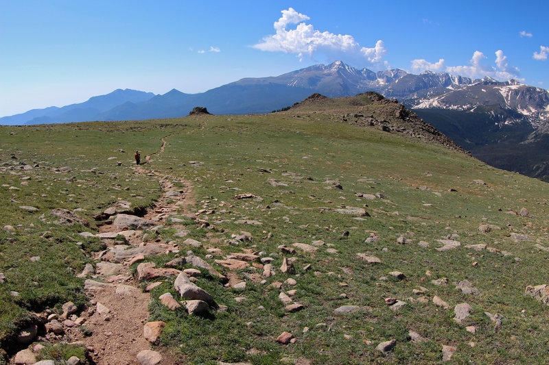 Ute Trail on Trail Ridge, Rocky Mountain NP CO