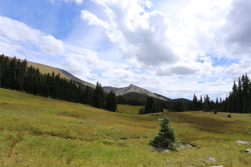 The Slopes of Mt. Ida with permission from Ed Ogle