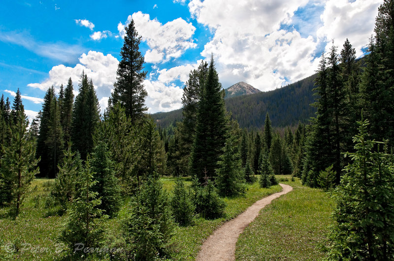 Rocky Mtn National Park with permission from Peter B. Pearman