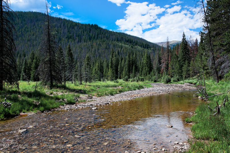 Colorado River with permission from Peter B. Pearman