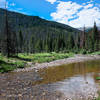 Colorado River with permission from Peter B. Pearman