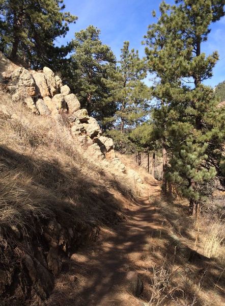 Typical section of the Sunshine Canyon Trail