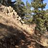 Typical section of the Sunshine Canyon Trail