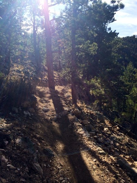 Singletrack