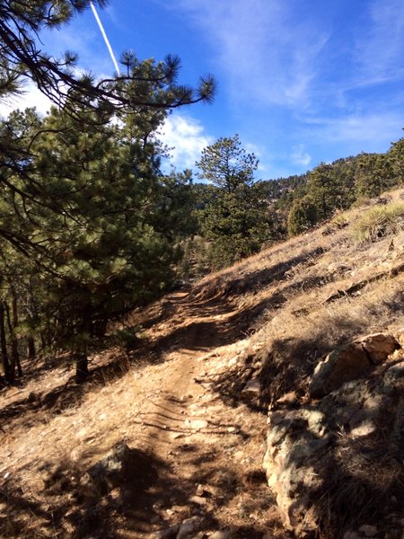 Open trail with blue skies.