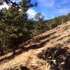 Open trail with blue skies.