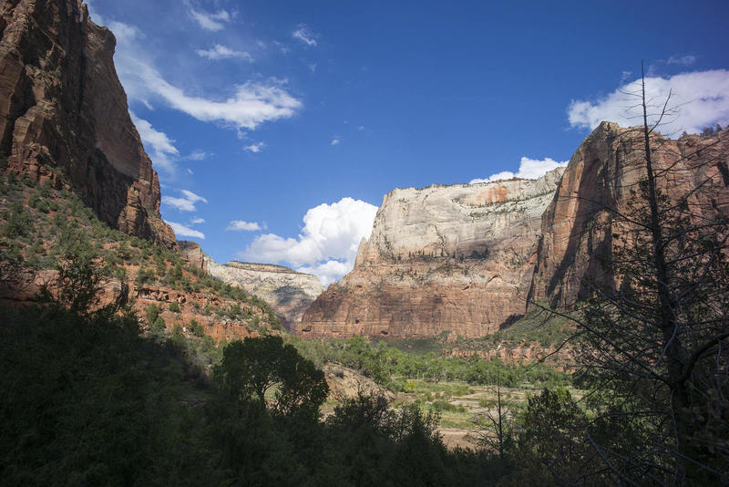 Zion National Park