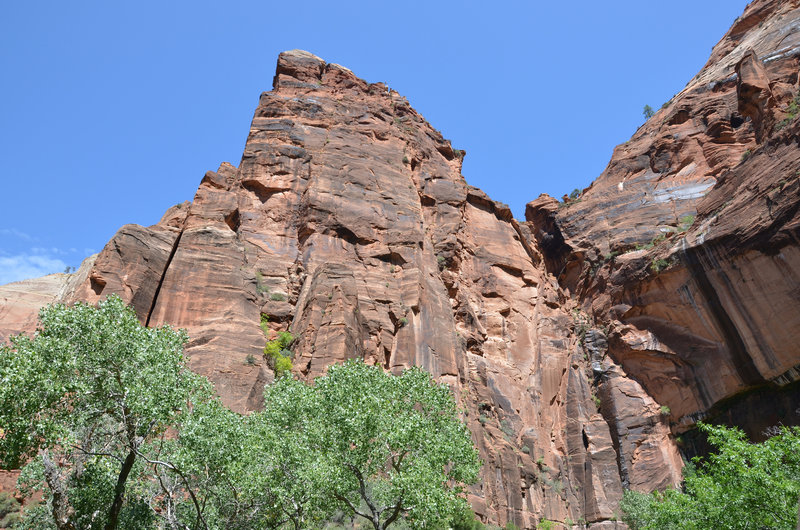 Zion National Park