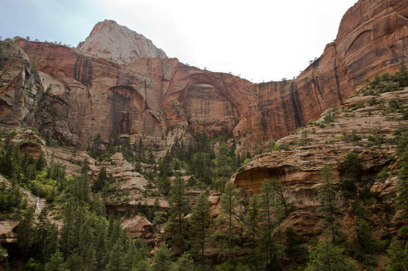 The mystifying Kolob Arch.