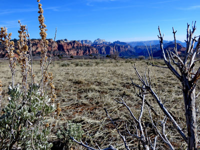 Beauty abounds on Connector Trail.