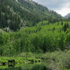 White River National Forest - Maroon Bells Scenic Area