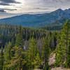 Nymph Lake in Rocky Mountain National Park