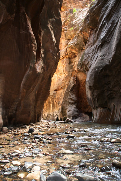 Zion Canyon - The Narrows