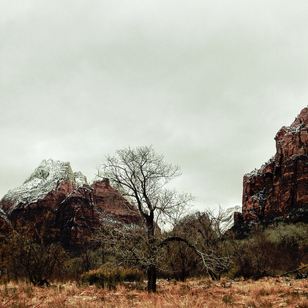 Snowy Zion.