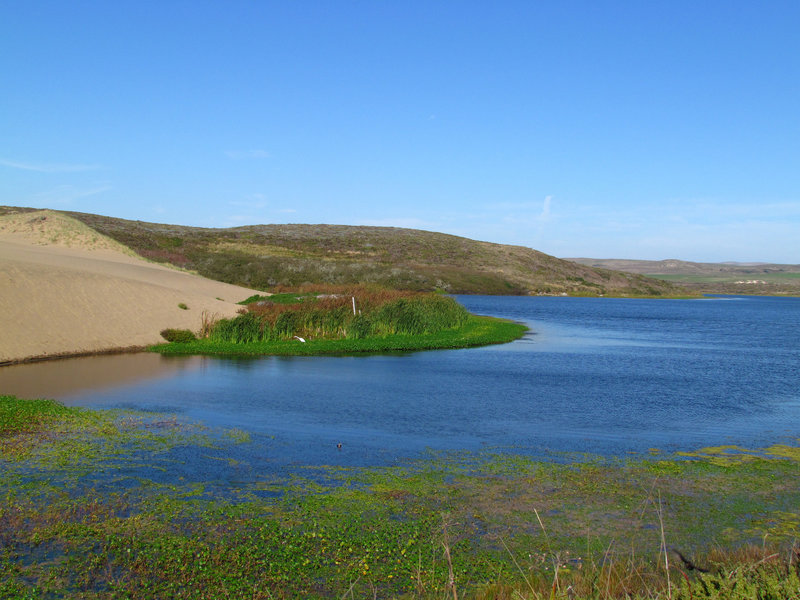 Abbotts Lagoon, Point Reyes National Seashore, CA