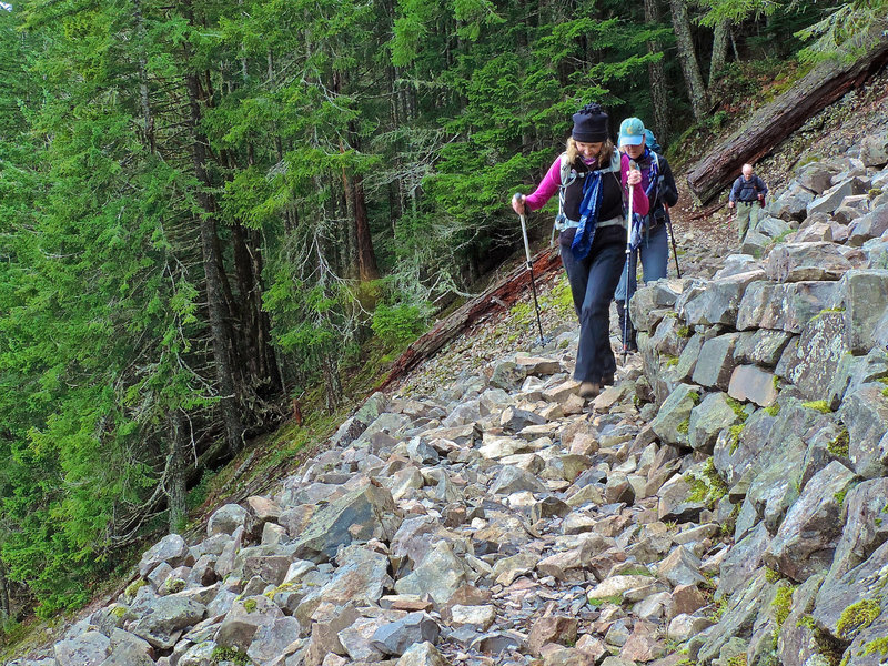Mount Si Main Trail — The Mountaineers