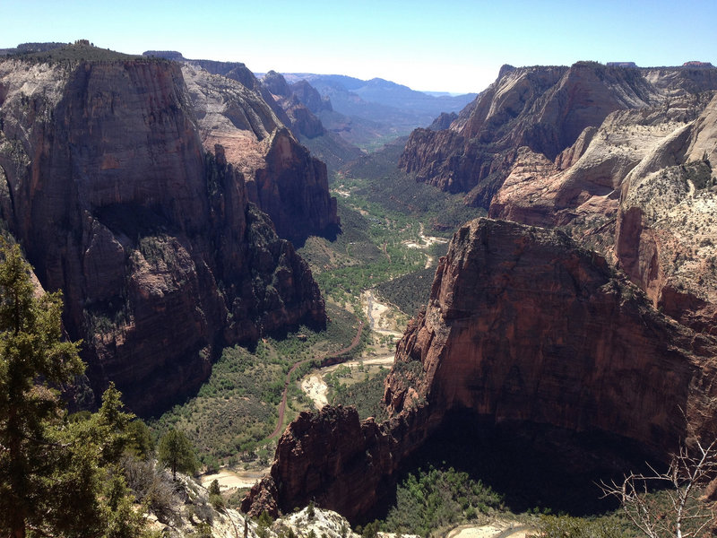 View from Observation Point