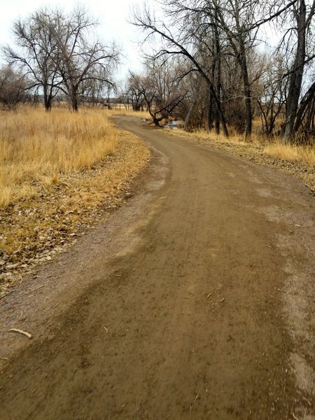 The Coal Creek trail, following the Coal Creek, of course.