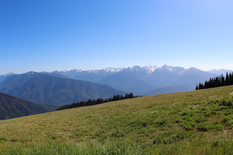 Hurricane Ridge overlook