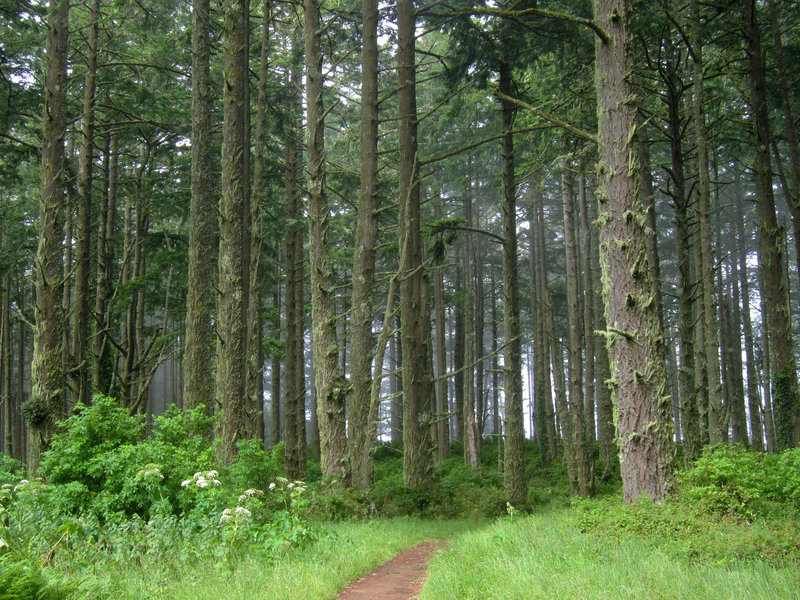 Point Reyes Sky Trail