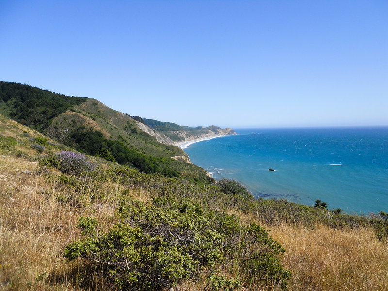 Near Miller's Point, off the Coast Trail - North