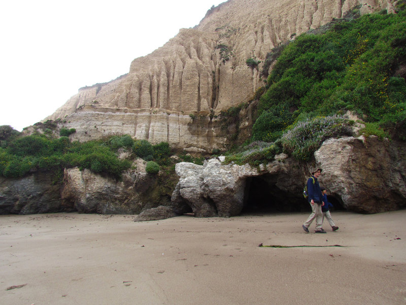 Sandstone formations on Sculptured Beach