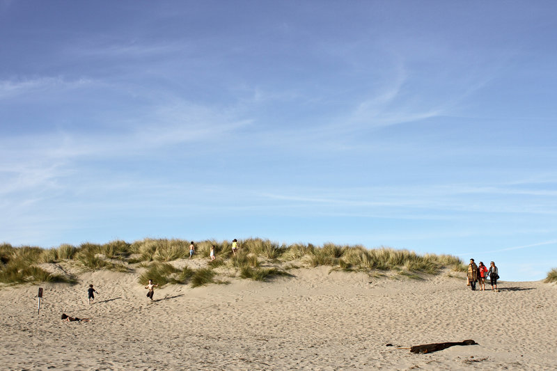 Limantour Beach dunes