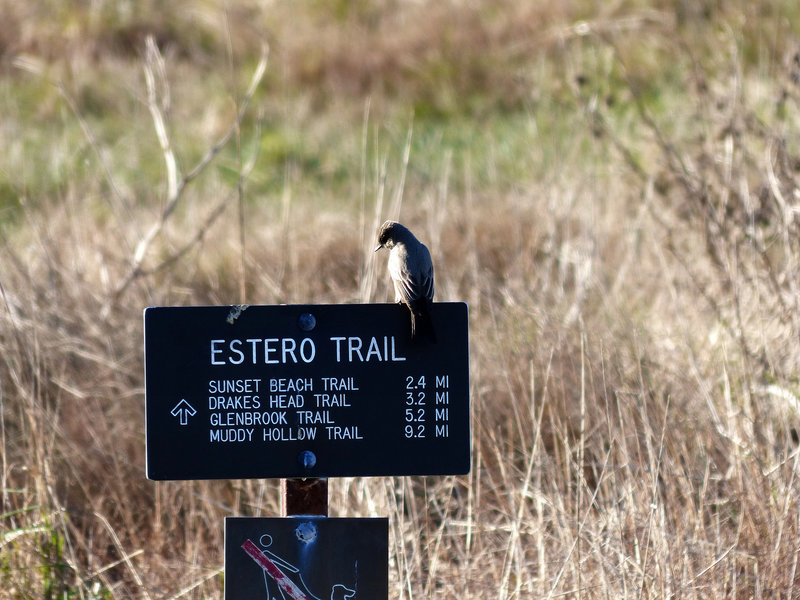 Estero Trailhead