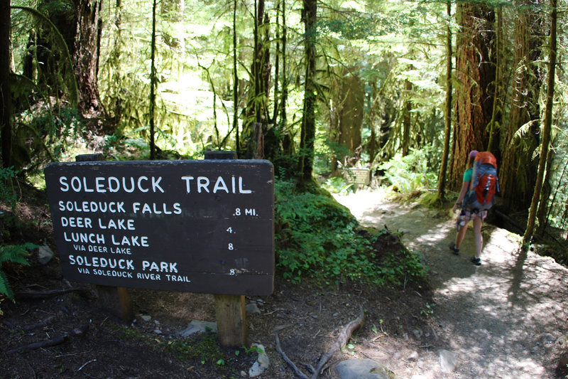 Passing Sol Duc or Soleduck Trail Junction