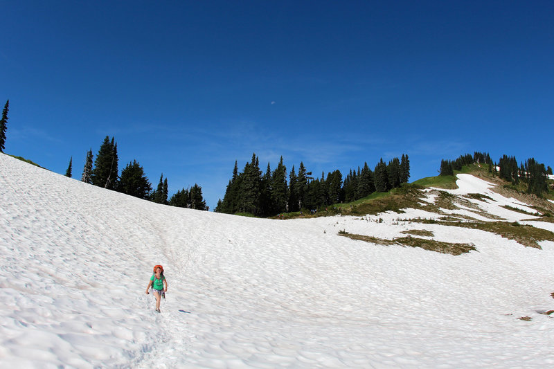 Another last look of snow.. descending!