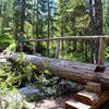 Log Bridge on Soleduck River Trail