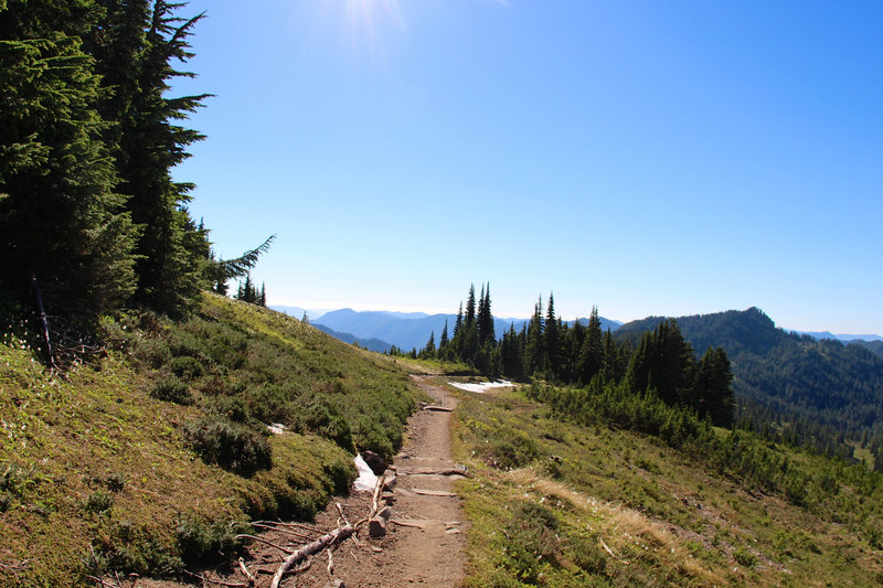 High Divide Trail, almost to the divide.