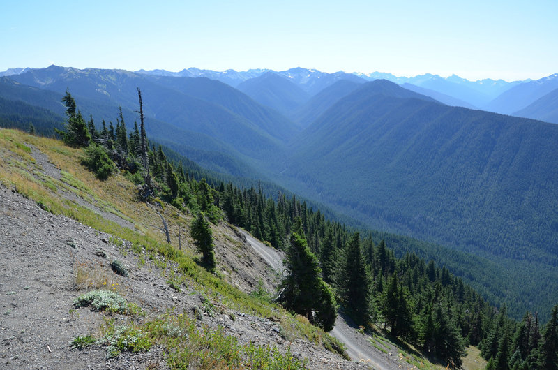 Hurrican Ridge, Olympic National Park