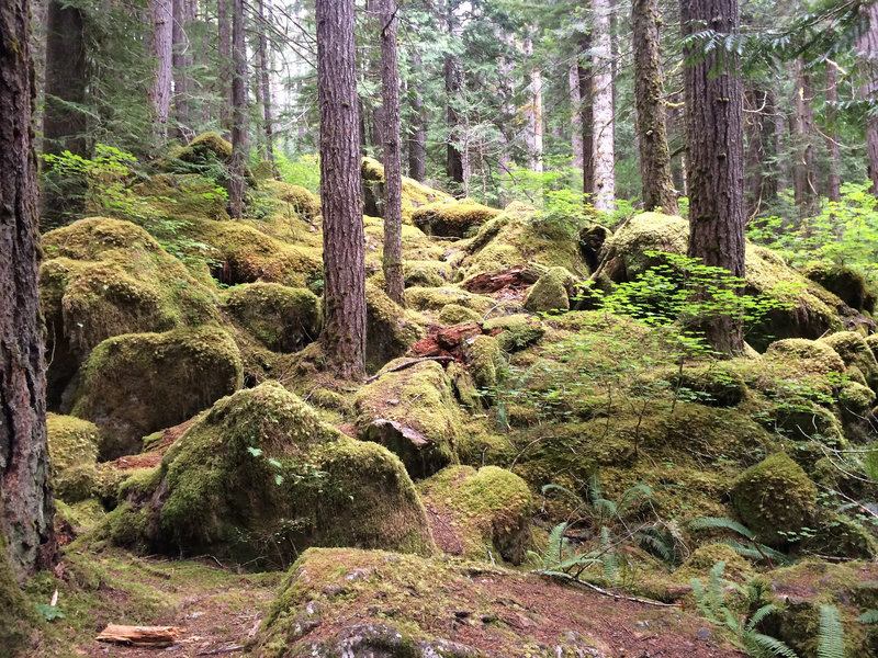 Lena Lake Trail