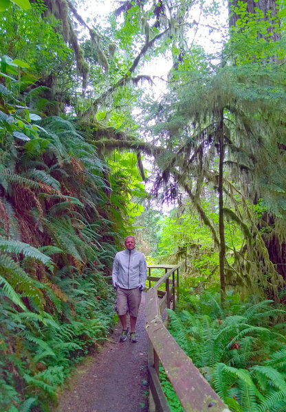 Walking through the rain forest - so beautiful.