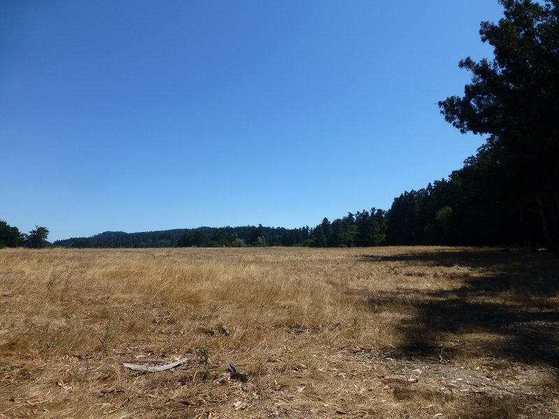 Horse pasture next to the Kule Loklo trail